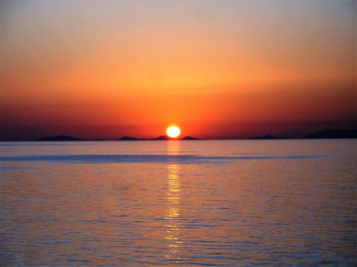 Alba Stupendo Appartamento In Villa Fronte Mare - Golfo Dell'Asinara - Internet Free Valledoria  Zewnętrze zdjęcie