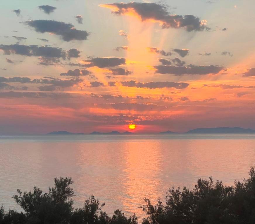 Alba Stupendo Appartamento In Villa Fronte Mare - Golfo Dell'Asinara - Internet Free Valledoria  Zewnętrze zdjęcie